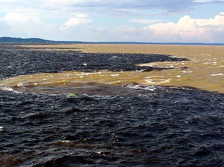 1993, BRESIL, Amazonie